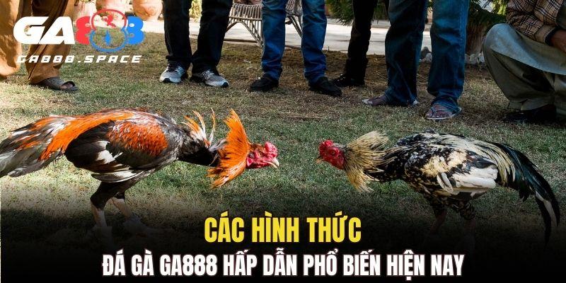 Danh sách các hình thức đá gà phổ biến tại các sân cược