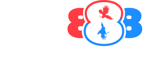 BJ88