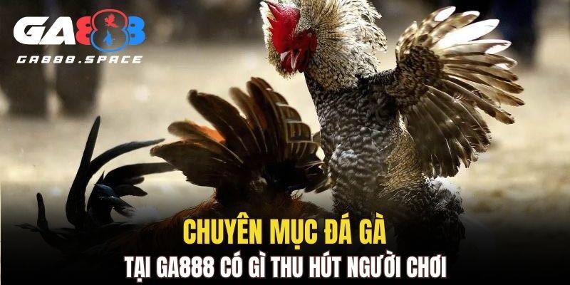 Tìm hiểu chi tiết về sảnh gà hấp dẫn tại nhà cái hiện nay